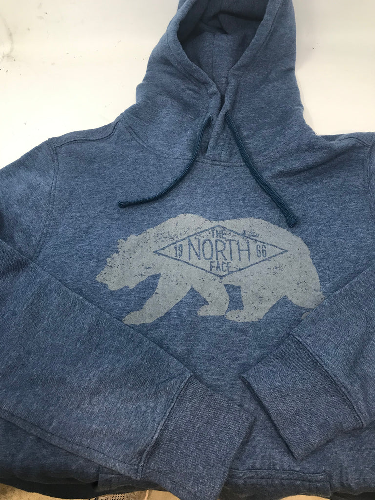 New The North Face Men s Bearitage 2.0 Hoodie Pull Over Shady Blue Med PremierSports