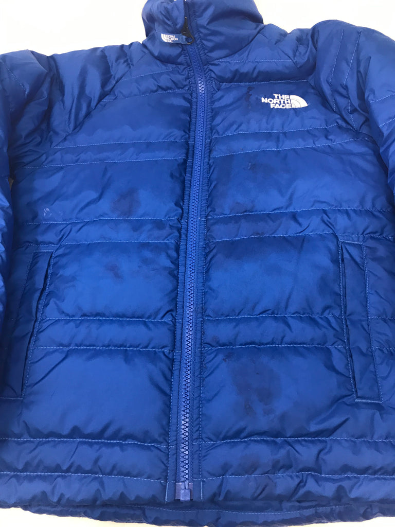 the north face alpz